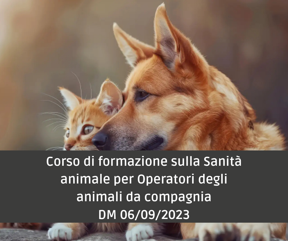 Corso di formazione sulla sanità animale per operatori degli animali da compagnia